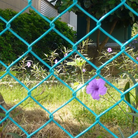 Filo di ferro rivestito in PVC