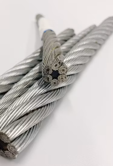 Steel Wire Rope (6X24+7FC) Cable for Lifting or Hoisting