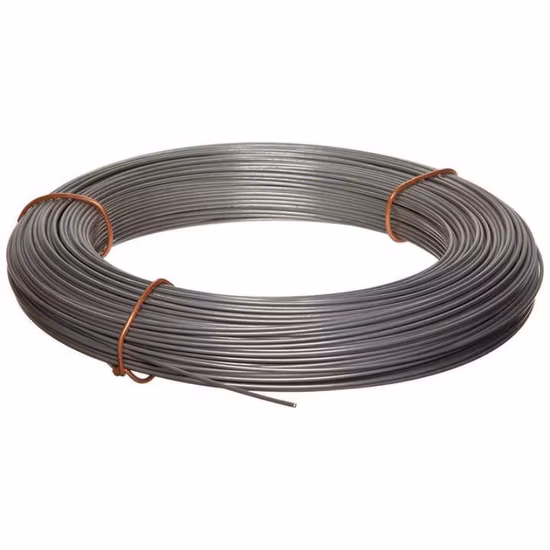 PVC Coated Galvanizad Binding Wire/ Hot Dipped Galvanized Iron Wire