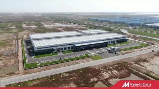 Dimensioni da 0,20 mm a 10,00 mm di filo di acciaio per molle zincato