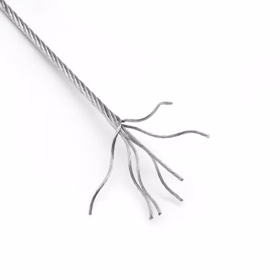 Il filo d'acciaio del cavo d'acciaio del cavo d'acciaio galvanizzato più venduto